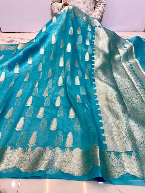 Banarasi Katan Tissue Soft Silk Saree - Sea Blue Color