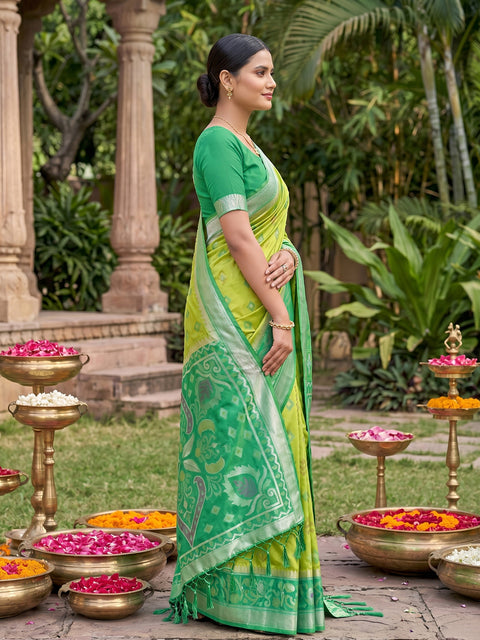 Light Green Pochampalli Soft Silk Saree with Grand Ikat Woven Pallu & Running Blouse Piece