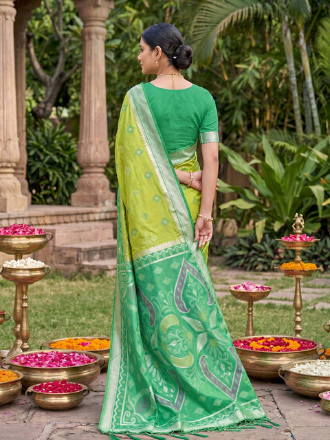 Light Green Pochampalli Soft Silk Saree with Grand Ikat Woven Pallu & Running Blouse Piece