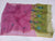 Pink Green Color Hand Brush Painted Kota Doria Pure Cotton Dupatta - Trend In Need